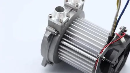 High Pressure 48V and High Airflow 55m3/H Small Brushless DC Motor Exhaust Mini Blower with Medical and Industrial Use