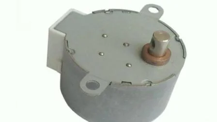 High Torque Electrical Stepping DC Motor for Air Cooler with Fast Delivery/Weighing Apparatus