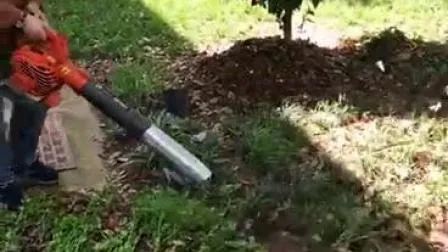 Mini Petrol Garden Leaf Vacuum Blower 